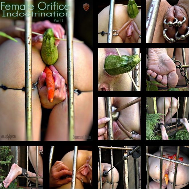 SENSUAL PAIN: May 29, 2019: Female Orifice Indoctrination part 1 | Abigail Dupree