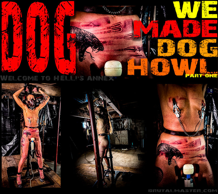 BrutalMaster: Dog – We Made Dog Howl Part One