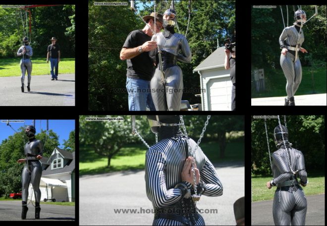 All House of Gord Scenes: Wildflower Harnessed and Bound