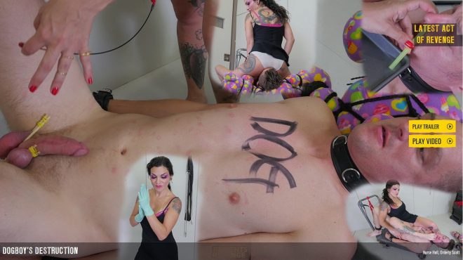 Patientsr Evenge: Dogboy’s Destruction