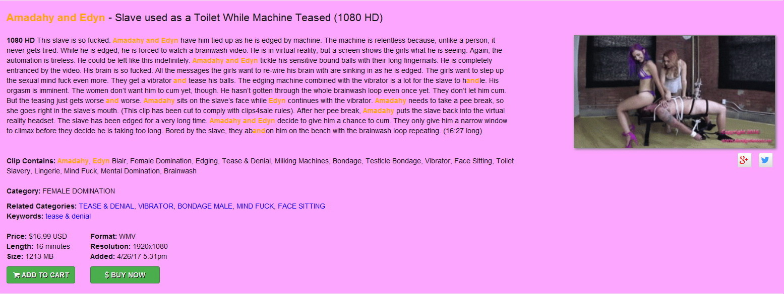 Brat Princess 2: Amadahy and Edyn – Slave used as a Toilet While Machine Teased (1080 HD) (Member Site Cut)