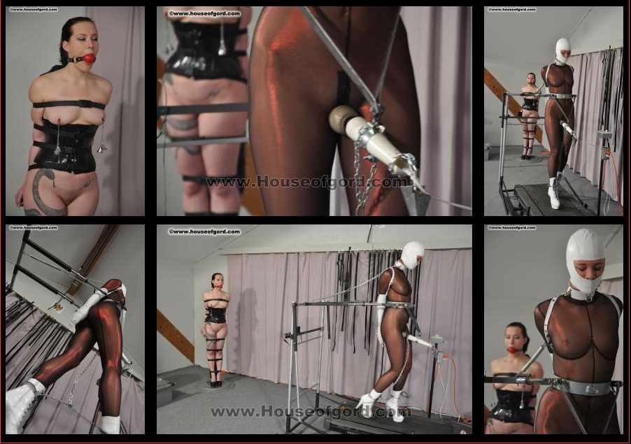 Houseofgord: Quinn in Training