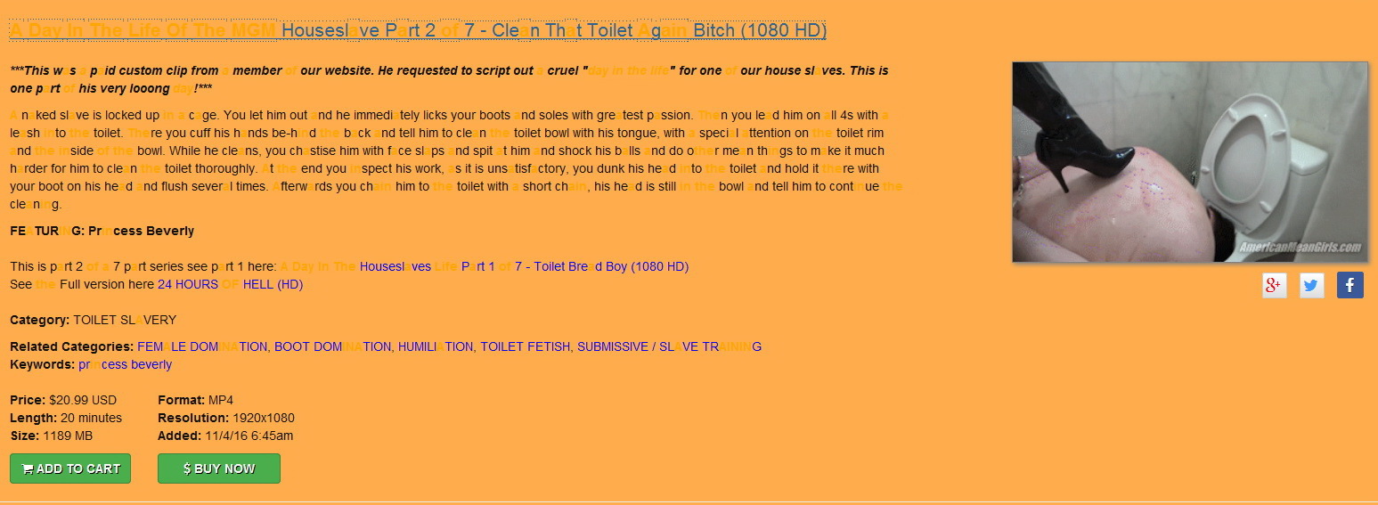 The mean girls/Americanmeangirls: A Day In The Life Of The MGM Houseslave Part 2 of 7 вЂ“ Clean That Toilet Again Bitch (1080 HD)