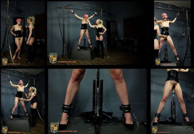 All House of Gord Scenes: Sierra on Display