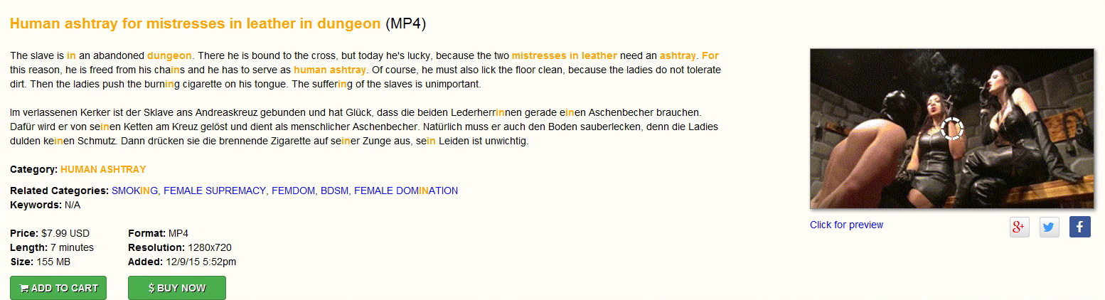 F E M D O M Goddesses: man ashtray for mistresses in leather in dungeon