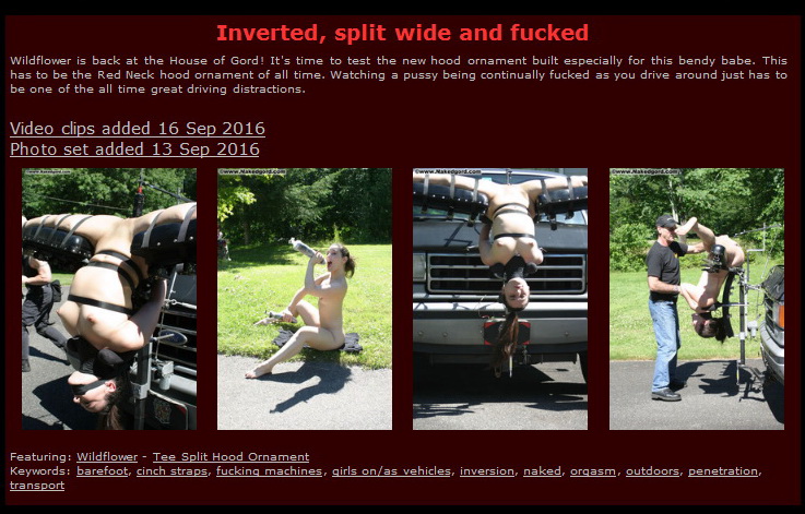 Houseofgord: Inverted, split wide and fucked