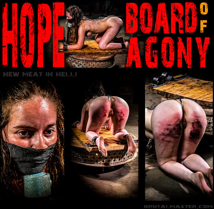 Brutal Master: Hope Board Of Agony