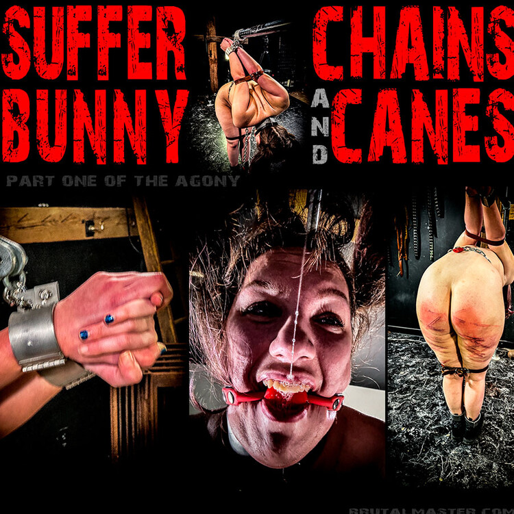 Brutal Master: Suffer Bunny – Chains And Canes Pt.1 (Release date: Feb 3, 2025)