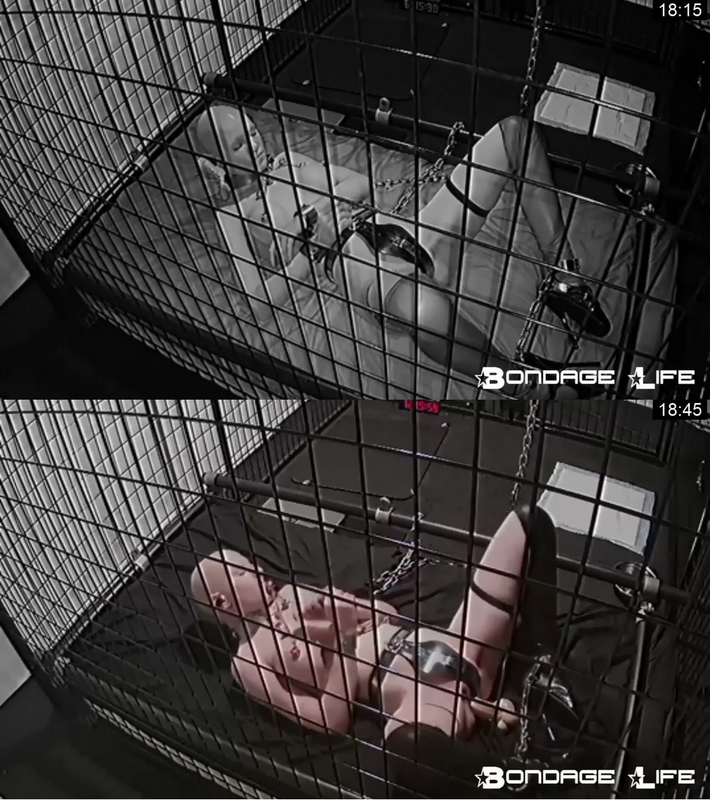 Bondage Life: Evening With Greyhound 08.30.18