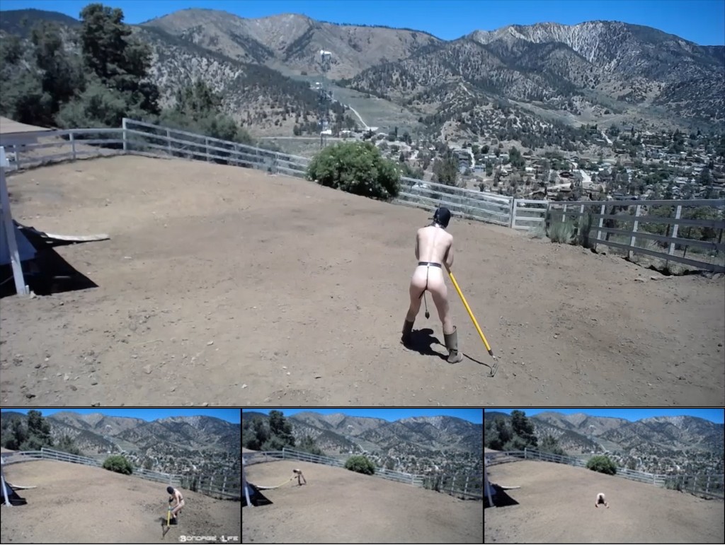 Bondage Life Rachel Greyhound: Lawn Care  (Dirt Edition) – 12.21.20