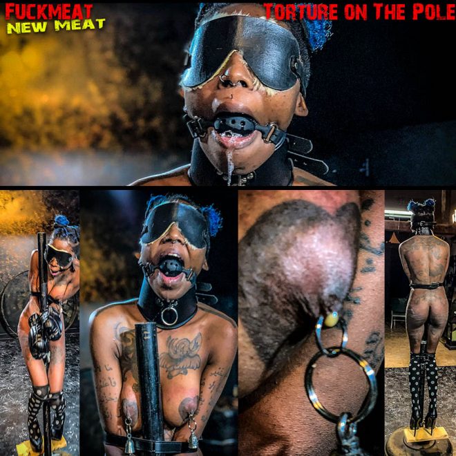 BrutalMaster: Fuckmeat Torture On The Pole