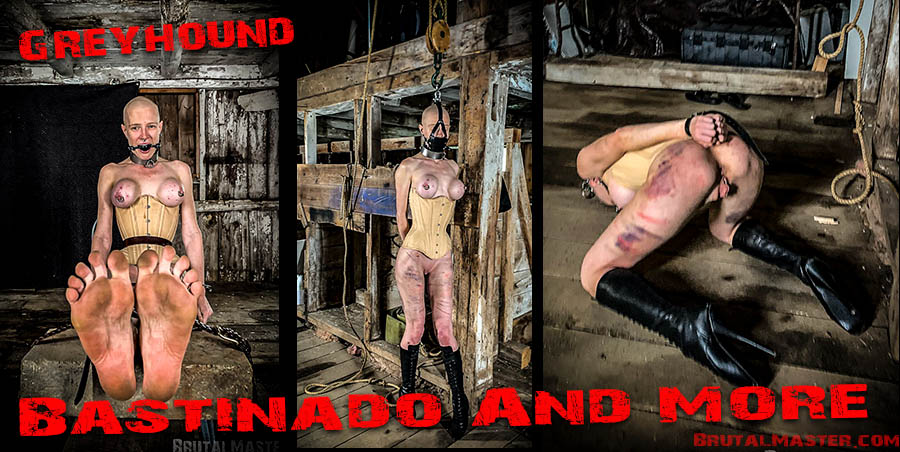 Brutal Master: Greyhound – Bastinado And More