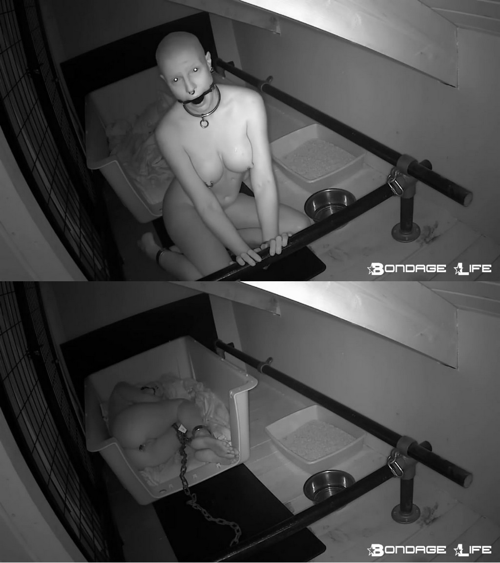 Bondage Life: Some Alone Time (Release date: Jan. 13, 2021)