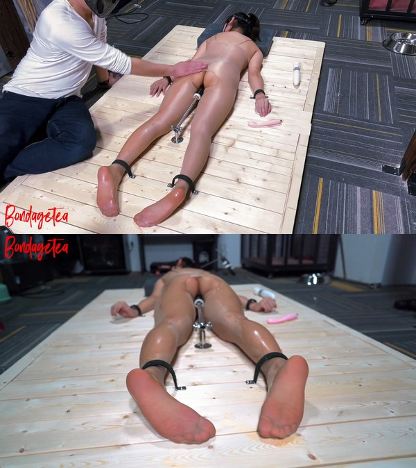 bondagetea: While The Slave ($29.99 Clips4sale)