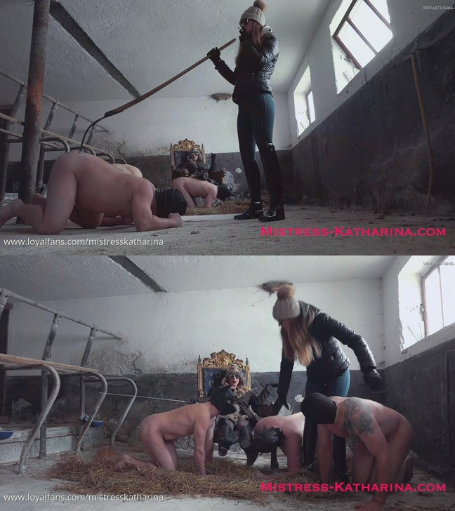 Institute Of Discipline: This Is How We Treat Stable Boys – Teamwork With Sara Stahl And Mistress Katharina