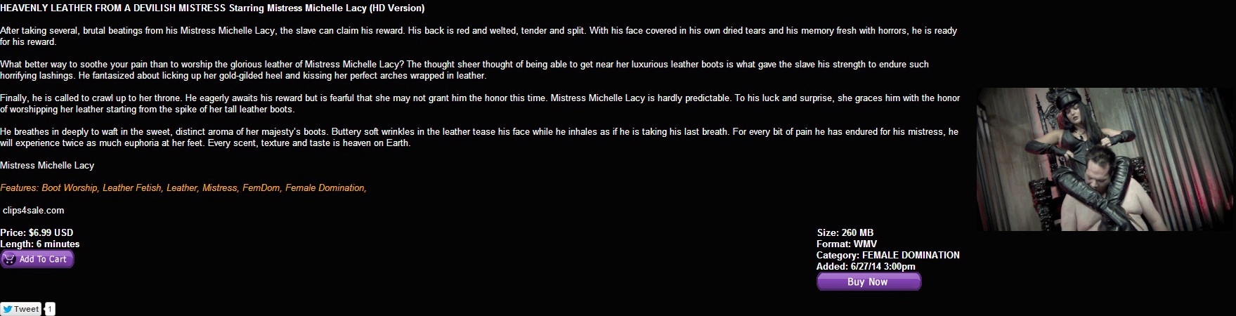 Dom Nation: HEAVENLY LEATHER FROM A DEVILISH MISTRESS