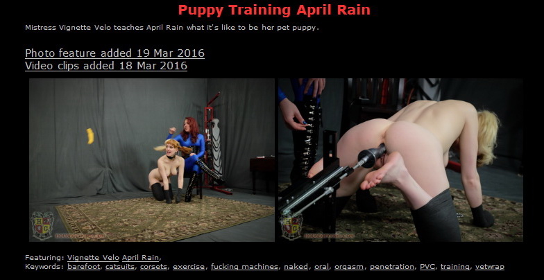 Houseofgord: Puppy Training April Rain