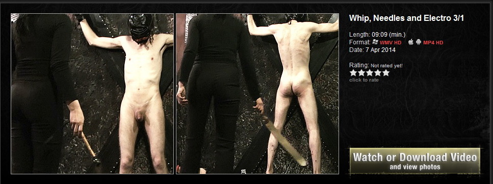 Whip, Needles and Electro 3/1