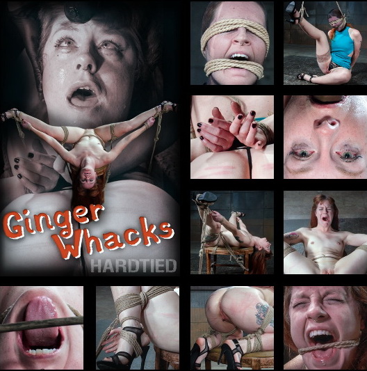 HARDTIED: Apr 27, 2016: Ginger Whacks | Barbary Rose | Jack Hammer | Rain DeGrey