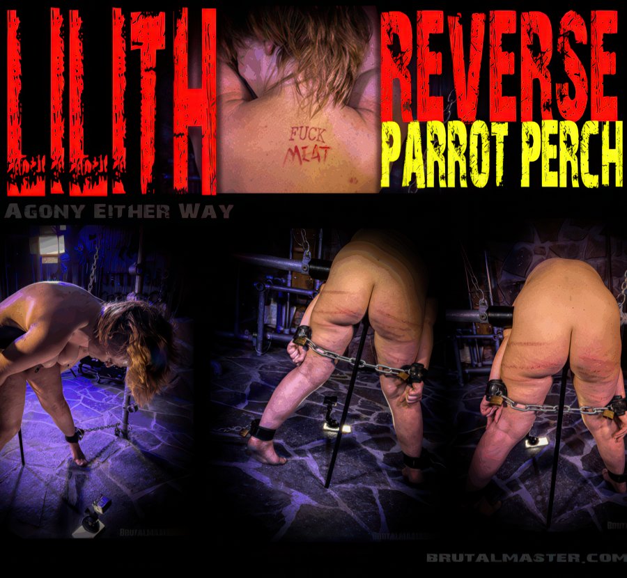 BrutalMaster: Lilith – Reverse Parrot Perch (Release date Sep 25, 2025)