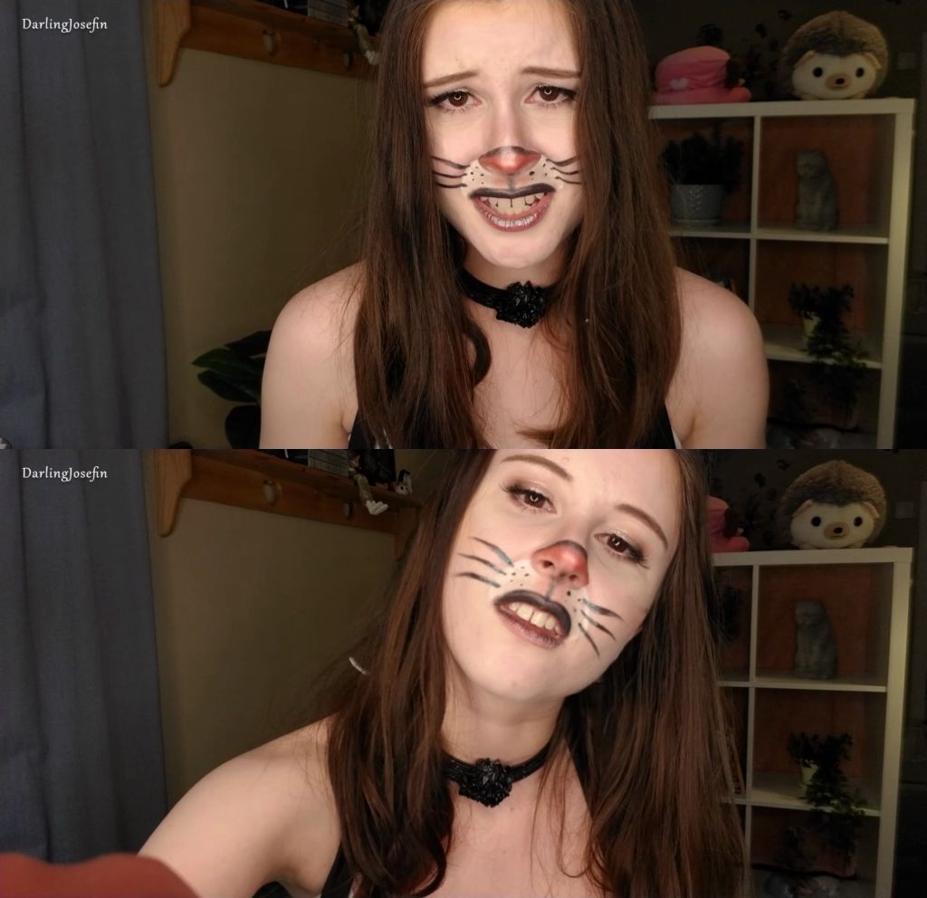 Darling Josefin: Cute Bunny Dresses you Up, Too – Cosplay