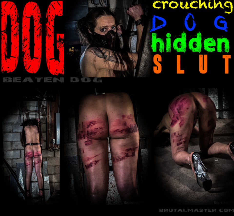 Brutal Master: Dog – Crouching Dog Hidden Slut  (Release date: Jul 17, 2025)
