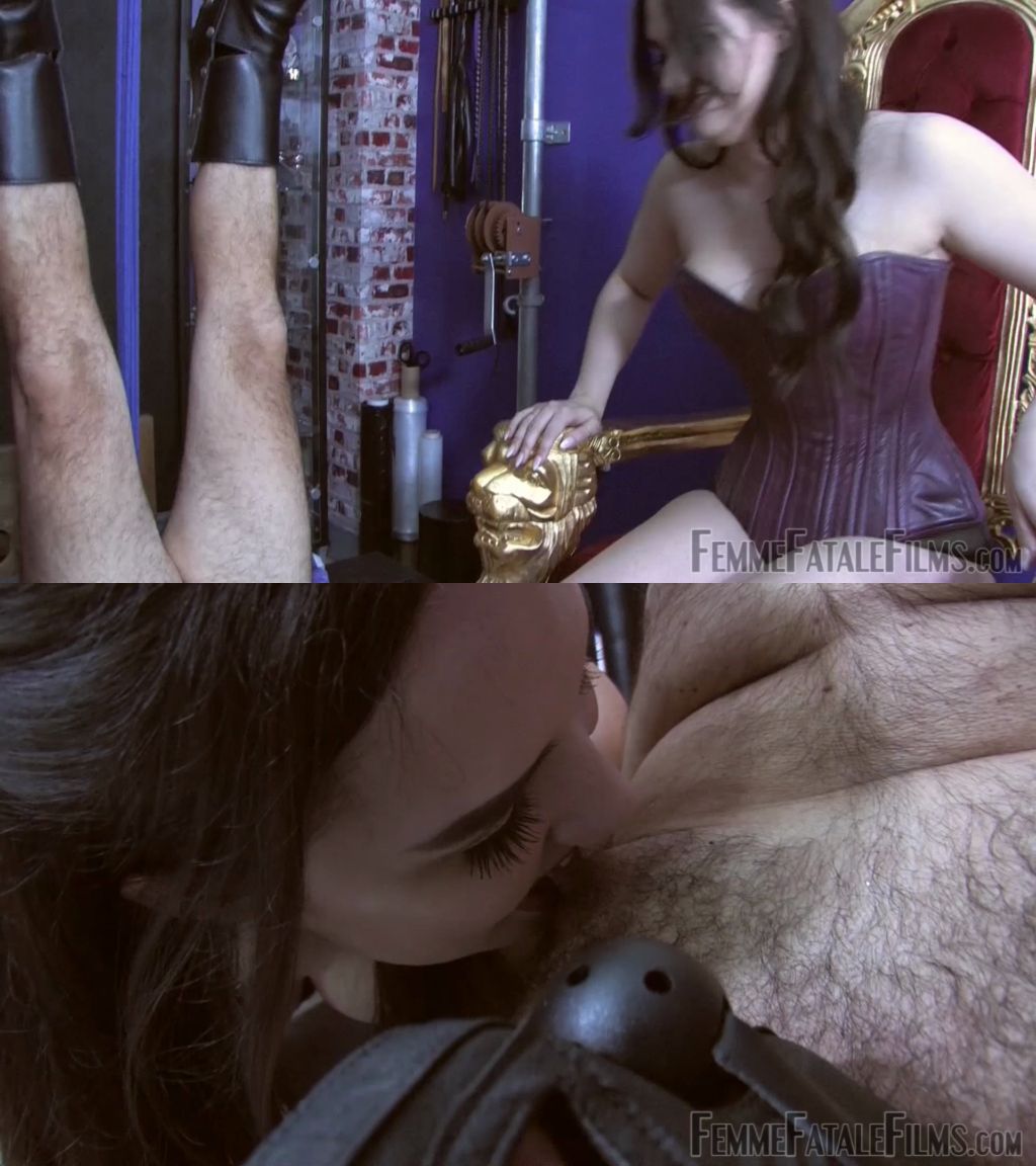 Mistress Serena – Mistress’s Pain Slut