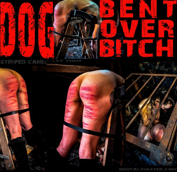 Brutal Master: Dog – Bent Over Bitch