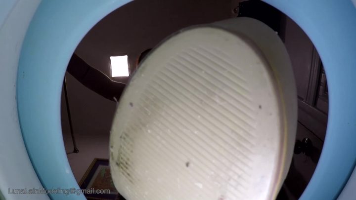 Luna Lain: Toilet Slave