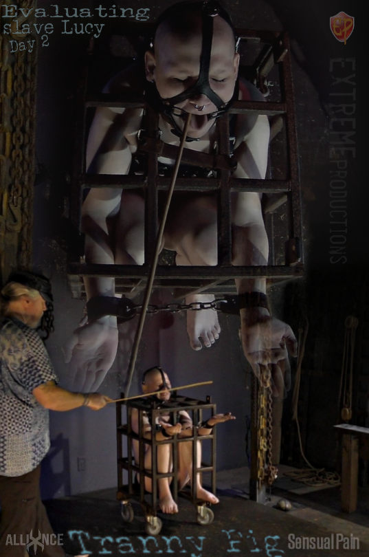 SENSUAL PAIN: Jun 28, 2020: Assessing Servant Lucy Day Two  | slave Lucy