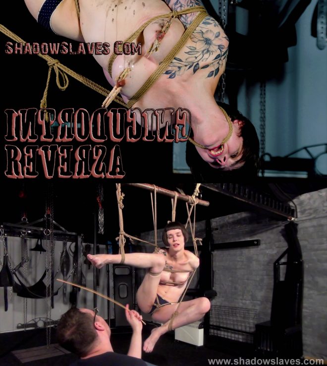 Shadow Slaves: Introducing Reversa